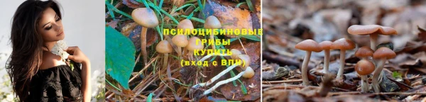 меф Вязники