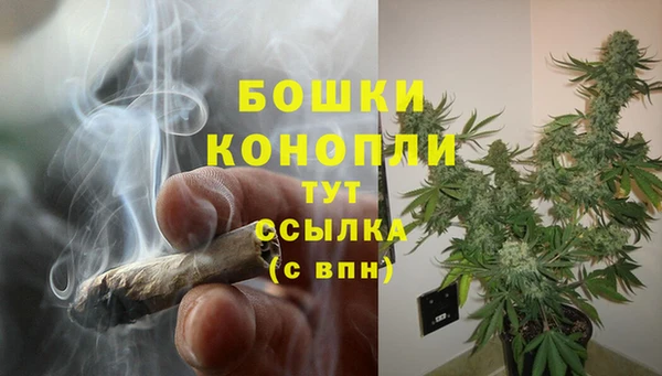 МДПВ Горняк