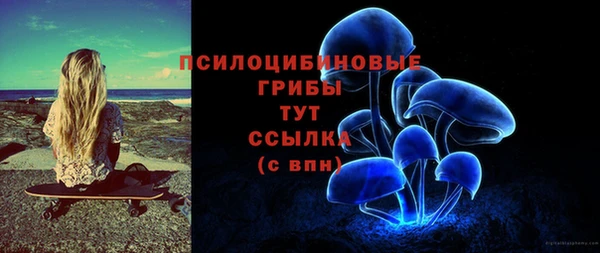 соль курить ск Вяземский