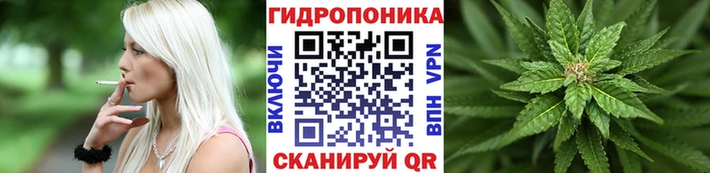 гидра сайт  Избербаш  Каннабис индика 